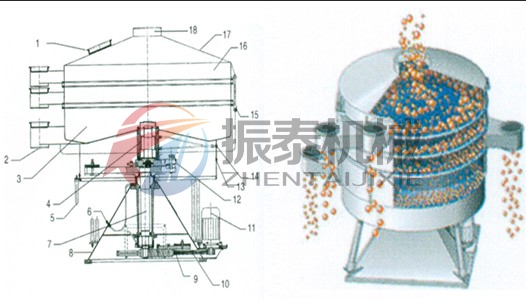 三聚氰胺摇摆筛结构轨迹图